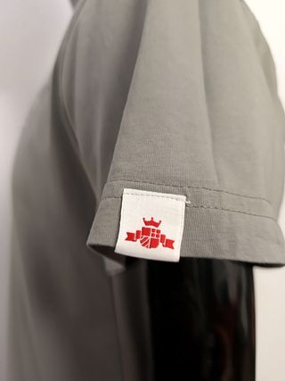Camiseta Replay gris con logo
