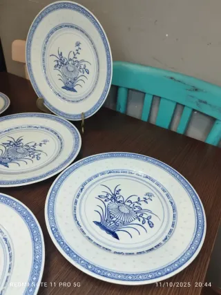 6 Platos Porcelana China Granos Arroz Azul Blanco