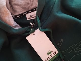 Sudadera Lacoste Verde 
