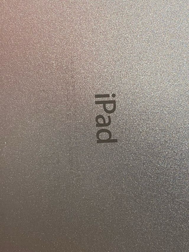 Apple iPad Gris con Funda