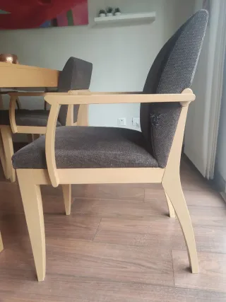 Mesa comedor extensible+4 sillas con reposabrazos