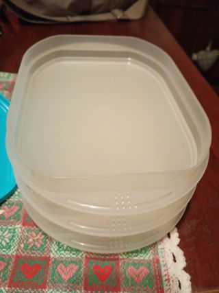 Set 3 Vassoi Tupperware Coperchio