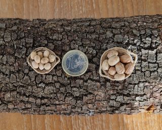 Cestas mimbre o plato con nueces, ver precios