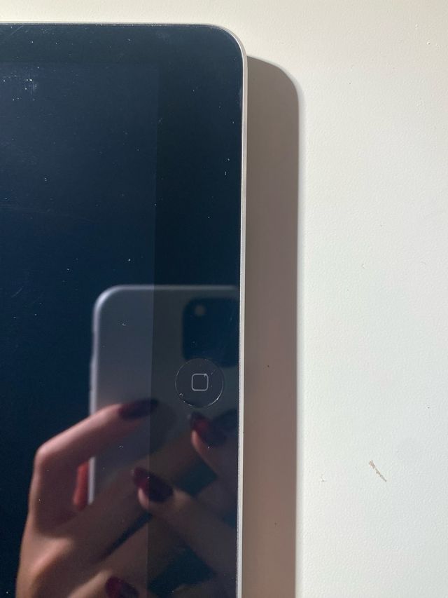 iPad Apple Gris con Funda