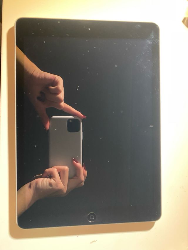 iPad Apple Gris con Funda