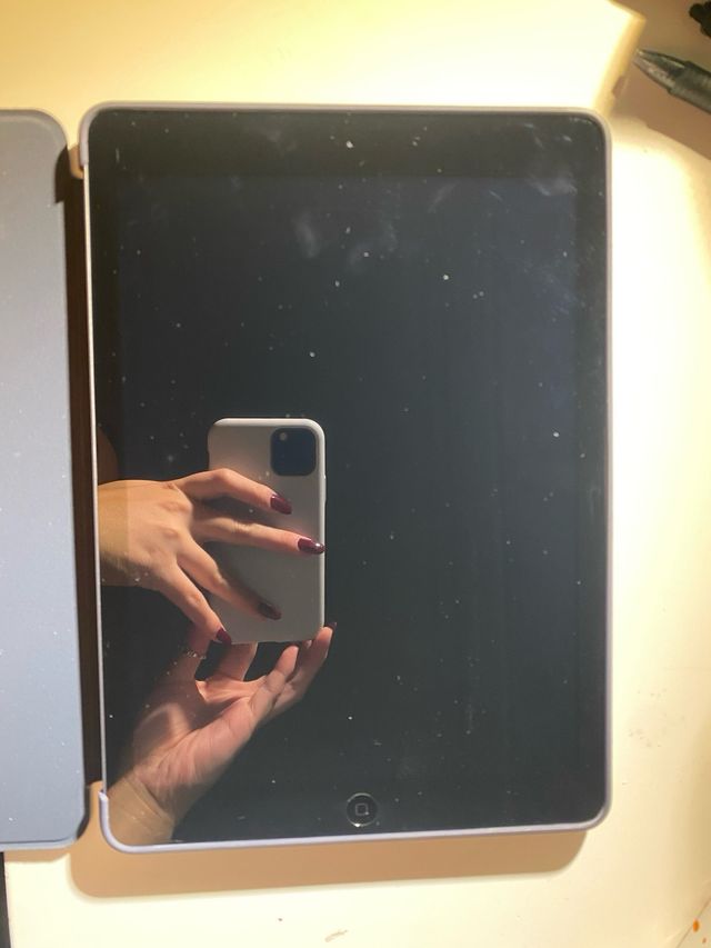 iPad Apple Gris con Funda