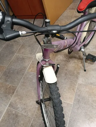 Bicicleta niña morada