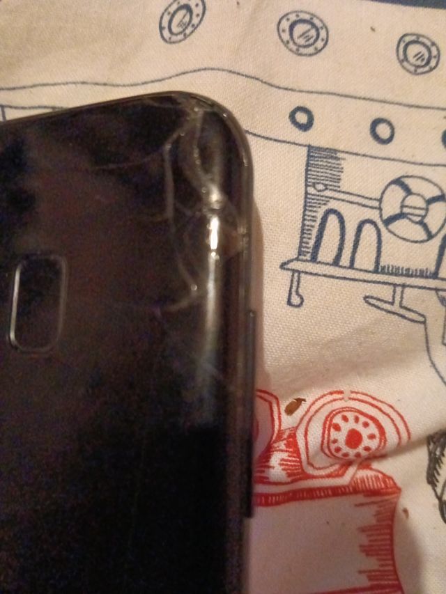 Samsung Galaxy S8+ Negro  con cargador incluido .