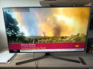 Televisor Samsung 50 Negro/Plata