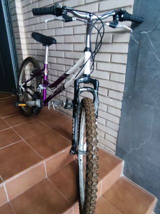 Bicicleta AT Morada y Blanca