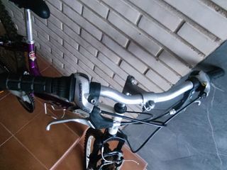 Bicicleta AT Morada y Blanca