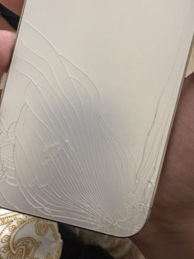 iPhone 13 Pro Max Plata