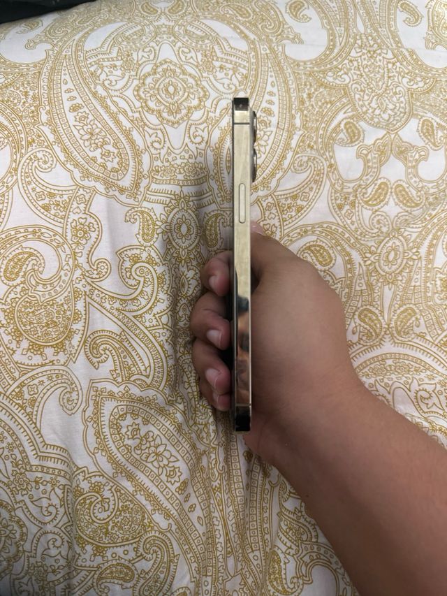 iPhone 13 Pro Max Plata