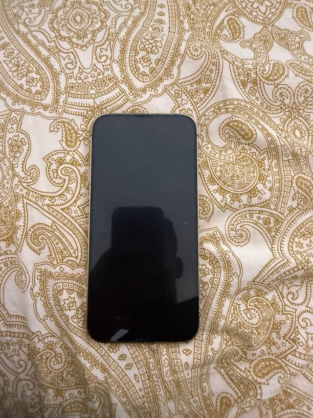 iPhone 13 Pro Max Plata