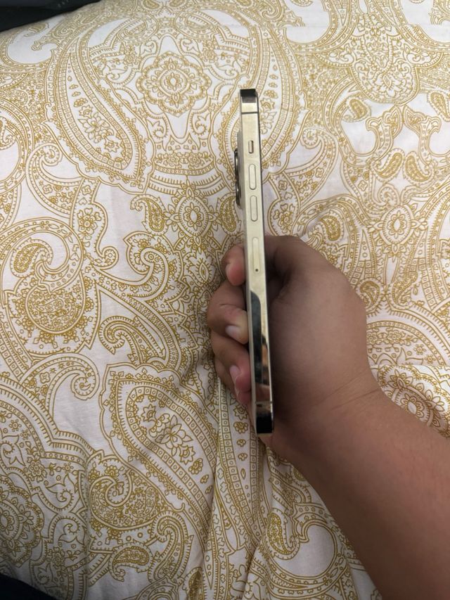 iPhone 13 Pro Max Plata