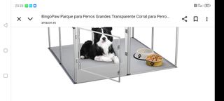 Corral para perros transparente