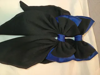 Lazo de pelo negro y azul