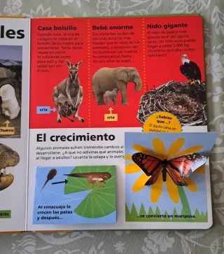 Libro de actividades Animales tapa dura
