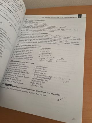 Les 500 Exercices Grammaire A1 Livre (Usado)