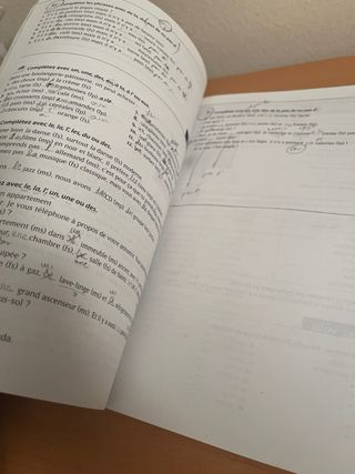 Les 500 Exercices Grammaire A1 Livre (Usado)