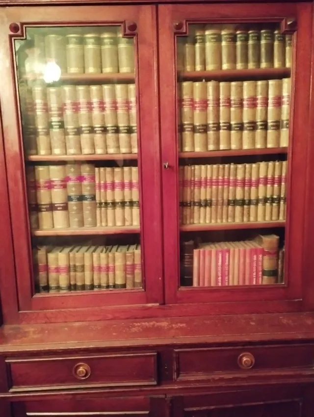 Alacena Librería Madera y Cristal