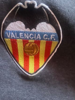 Sudadera Adidas Valencia CF Gris