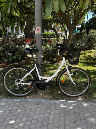Bicicleta Ciudad Rodado 26