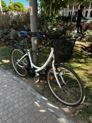 Bicicleta Ciudad Rodado 26