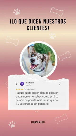 Cuidadora canina