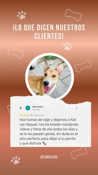 Cuidadora canina