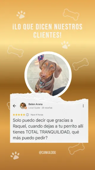 Cuidadora canina