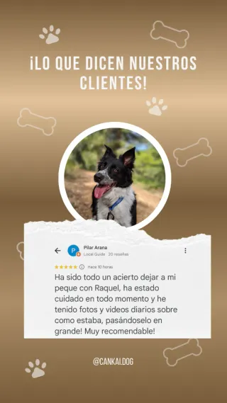 Cuidadora canina