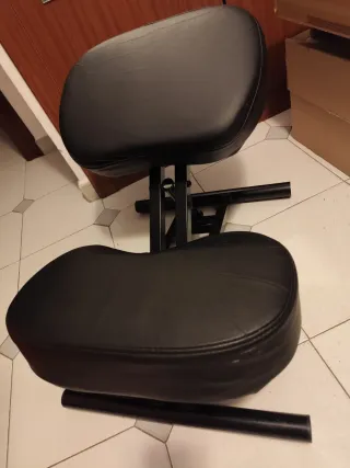 Silla ergonómica de ejercicio/relax.
