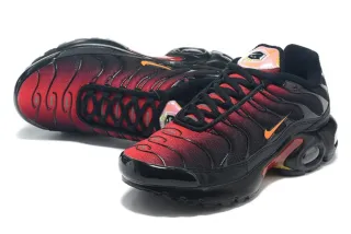 Nike Air Max Plus TN T
