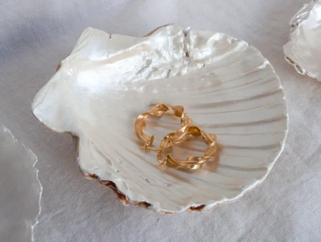 Concha decorativa cuenco joyero