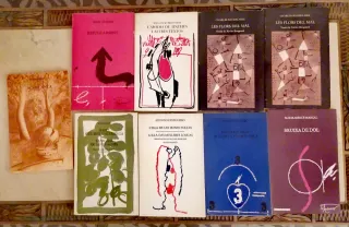 Lote 7 libros: Les Flors del Mal y otros