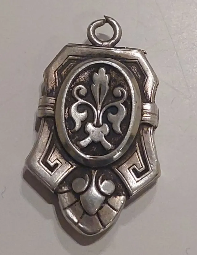 Colgante guarda pelos mascotas plata