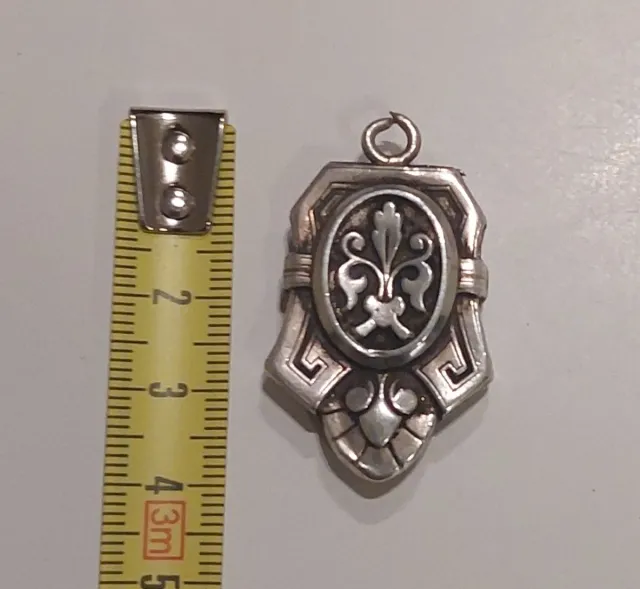 Colgante guarda pelos mascotas plata