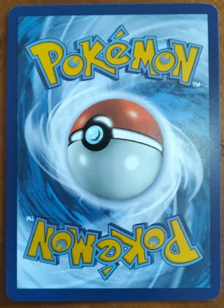 Raikou Holo Carta Pokémon 048/132