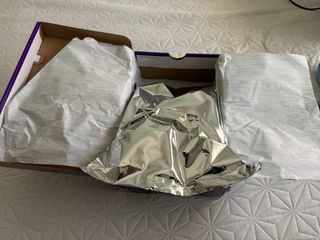 Nike SB Dunk Low Moradas Hayley Wilson