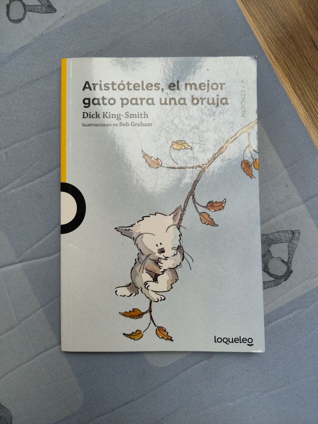 Aristóteles, el mejor gato para una bruja