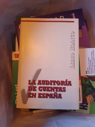 Libro blanco la auditorí de cuentas en España
