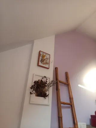 Cuadros decorativos flores secas