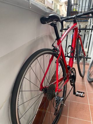 Bicicleta de carretera Specialized 