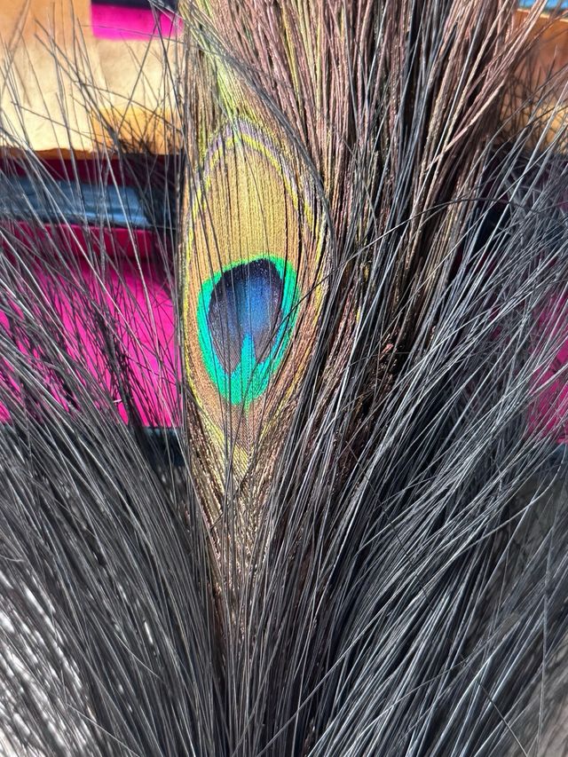 Ventaglio cerimoniale cinese a forma di pavone con custodia