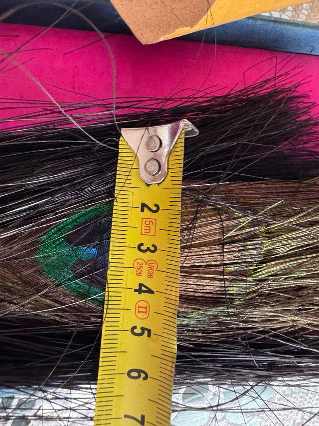 Ventaglio cerimoniale cinese a forma di pavone con custodia