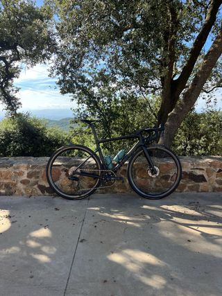 Specialized Tarmac SL6 Pro Disc 54 