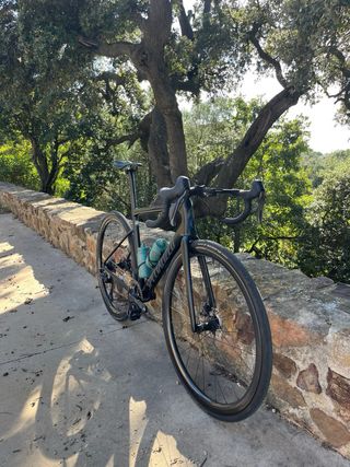 Specialized Tarmac SL6 Pro Disc 54 