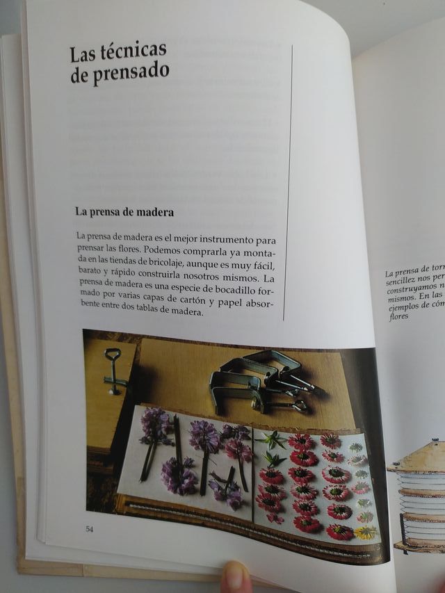 El arte delas flores prensadas