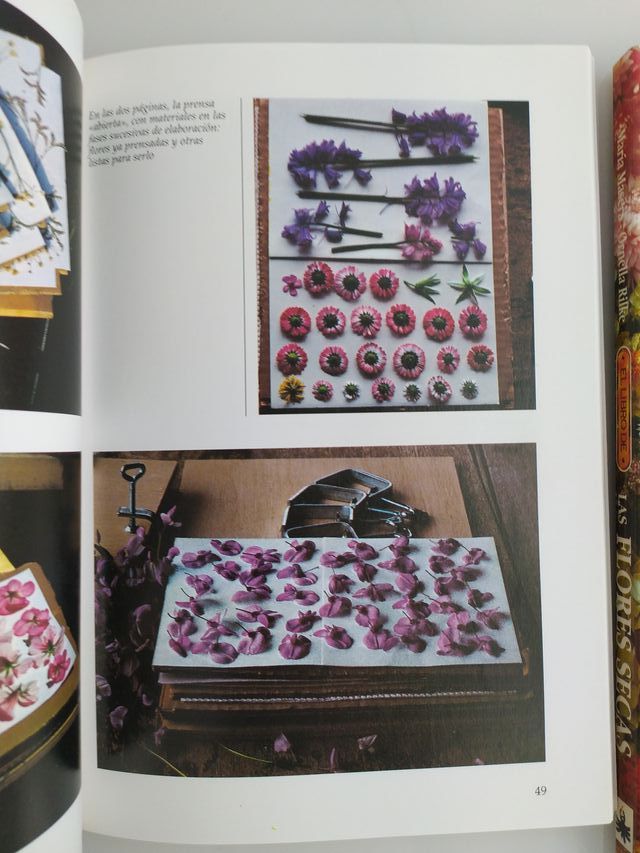 El arte delas flores prensadas